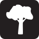 treeclimbing-yes